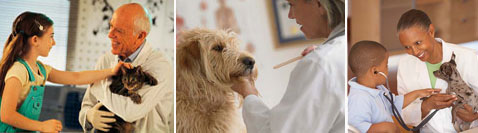 California Veterinary Medical Association
